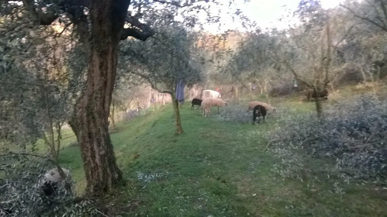 Ca Feddia Villa Bagnone Vakantiehuis